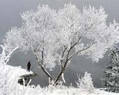 Bad weather in Western Europe likely to continue into June
